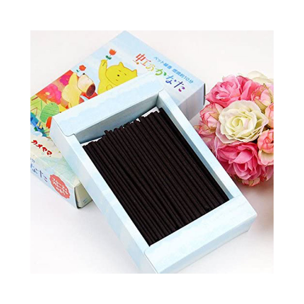 �ڥå����� ���Τ��ʤ� �ե롼�ƥ��ե������ι�� ǳ�ƻ��� ��10ʬ ��30g��2�ĥ��å� ������ ���ƥ��å�