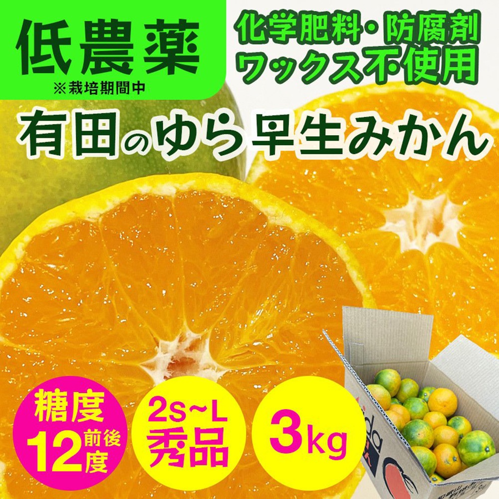 �²λ� �����ߤ��� 3kg ����2S��L