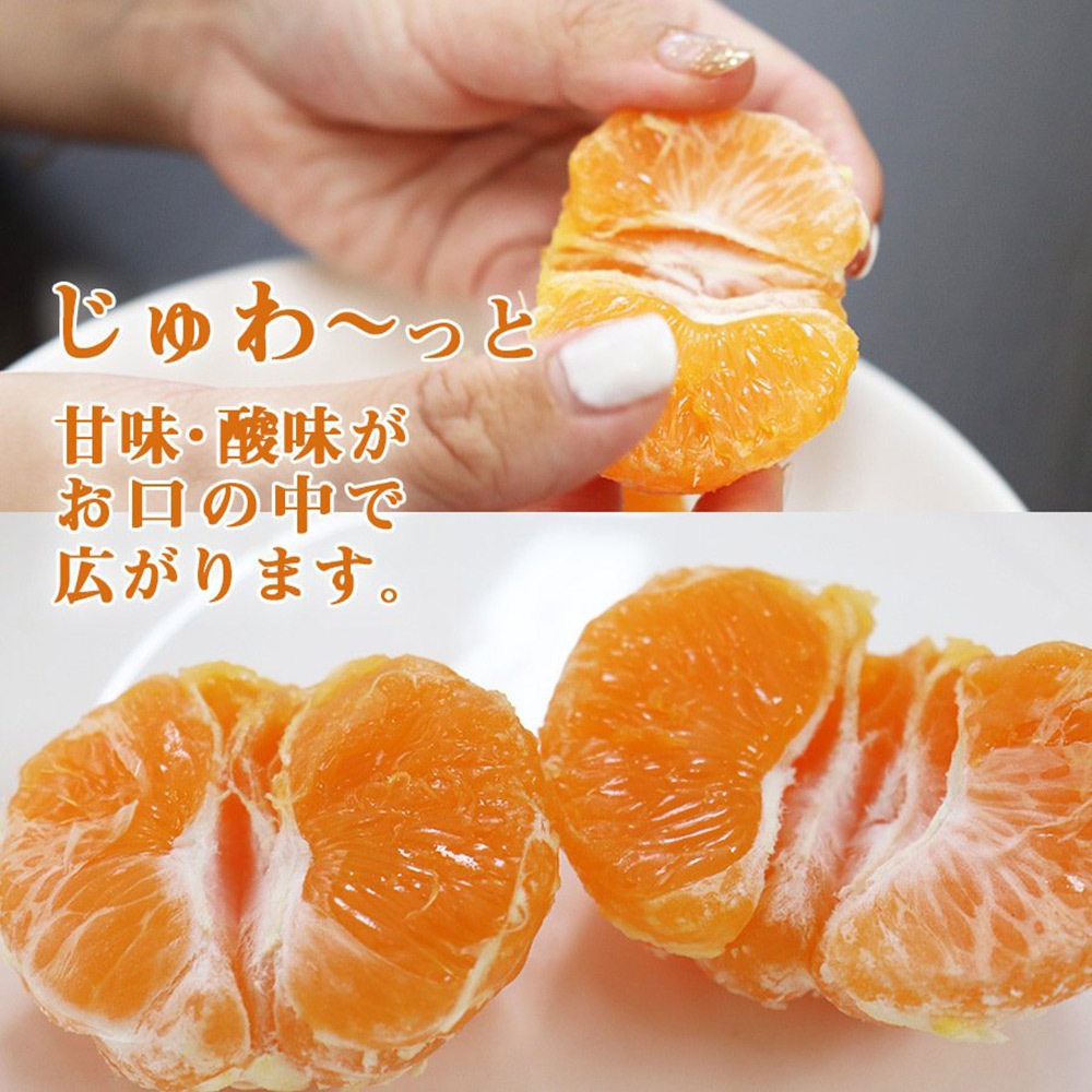 �²λ� �����ߤ��� 3kg ����2S��L