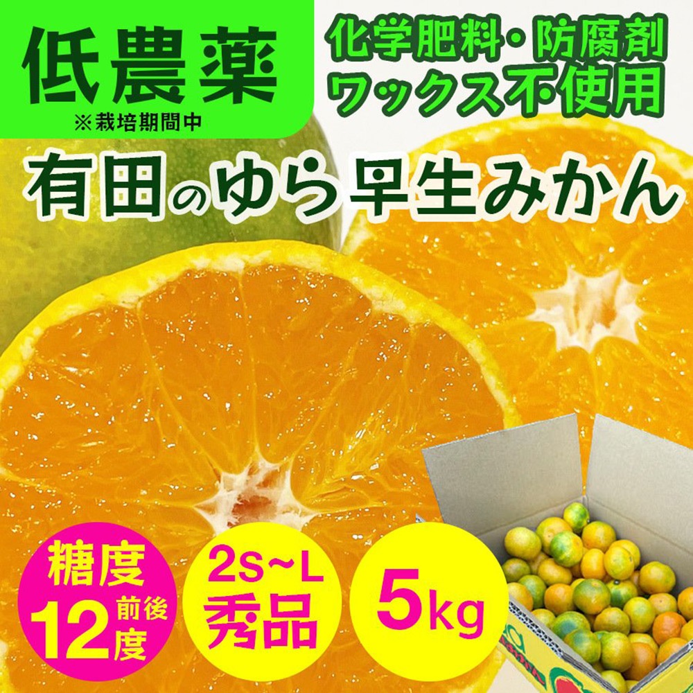 �²λ� �����ߤ��� 5kg ����2S��L