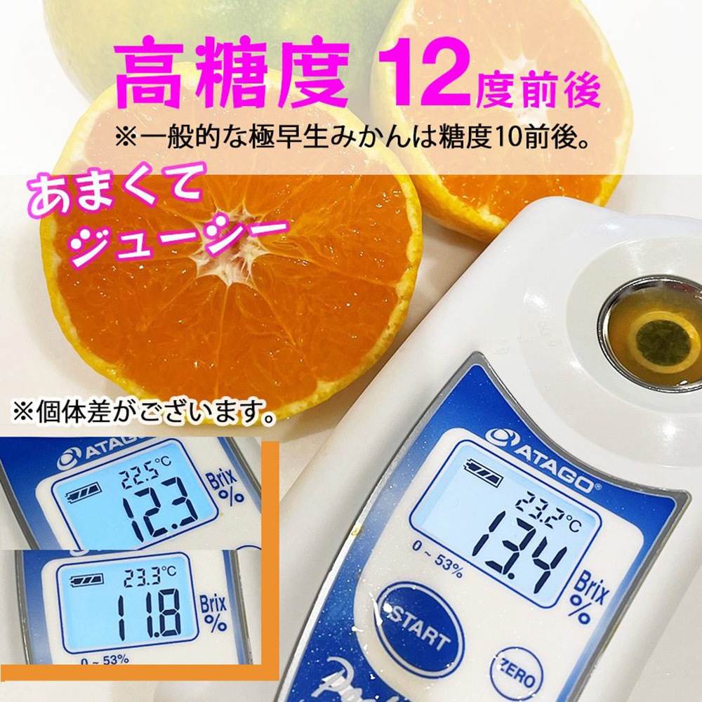 �²λ� �����ߤ��� 5kg ����2S��L