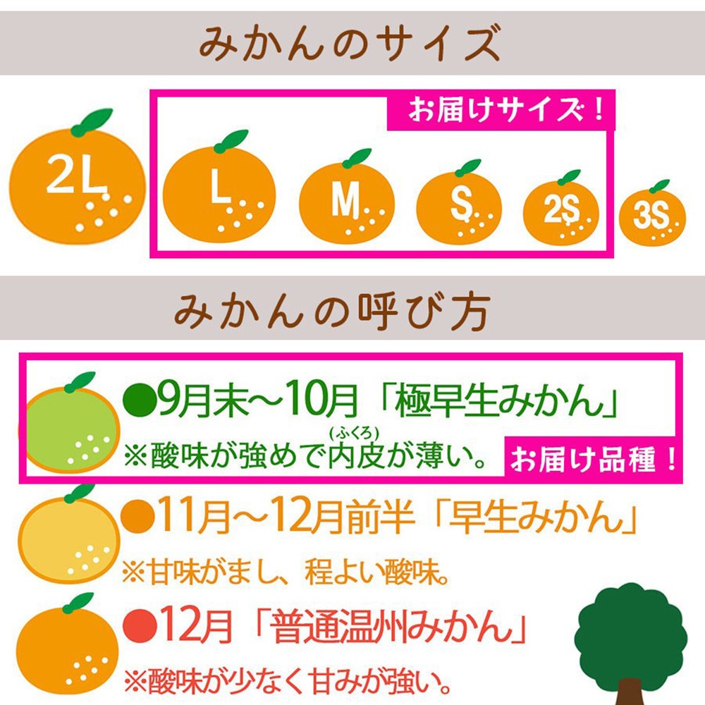 �²λ� �����ߤ��� 5kg ����2S��L