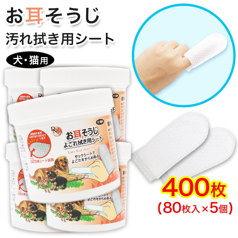 ����ǭ�� ���������� �褴�쿡���� ������ 400�� (80���� ��5��) ������ ������Ի��� Ω�Υ�����