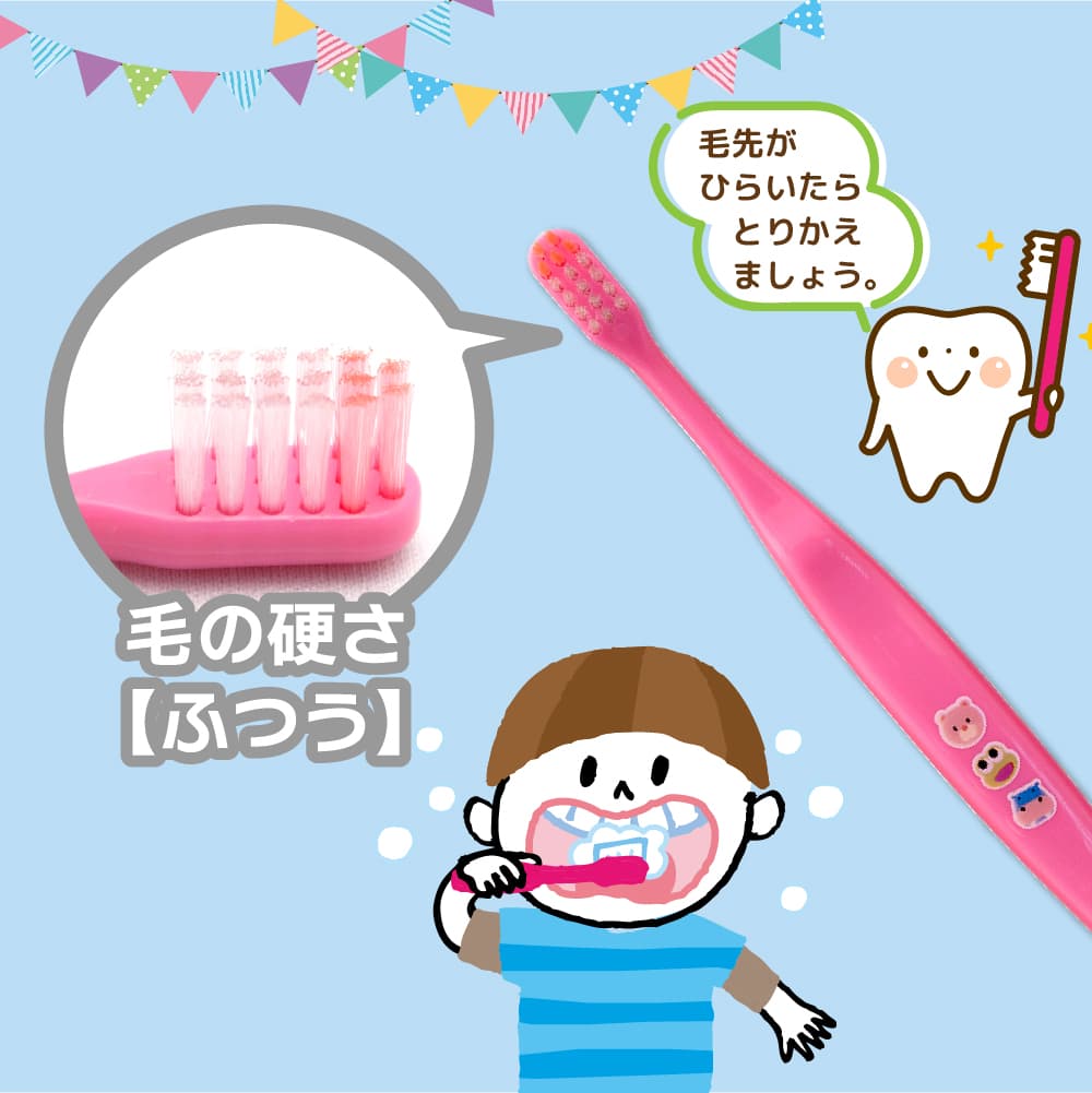 ���֥饷 �Ҷ��� �դĤ� 12������ 3�͡�6�� ���ɤ��ѥϥ֥饷 ���᤭ ���å� ������ ������