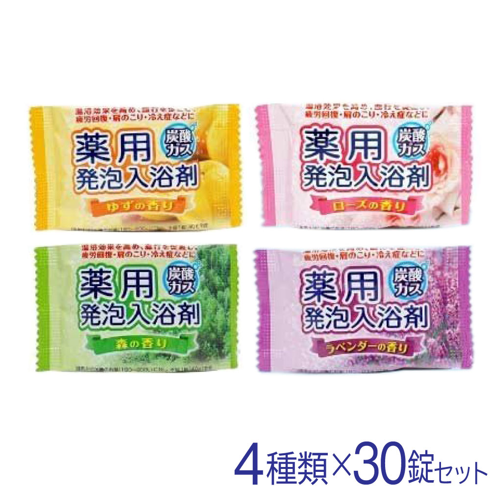 ȯˢ ͤ碌  ȯˢ 4ॢ 4 30 120 ú