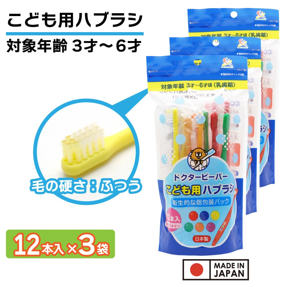 ���֥饷 �Ҷ��� �դĤ� 36��(12�������3��) 3�͡�6�� ���ɤ��ѥϥ֥饷 ���᤭ ���å� ������ ������
