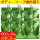 �ǥ��� ���꡼�֡����륬�� �ܥǥ������� ���� 6000ml (1000ml��6�ĥ��åȡ�