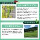 �ʤ�Ʀ���᤭ʴ ��̣�� ̵ź�� 150g �񻺥ʥ��ޥ��ҥ����� �����ե�����