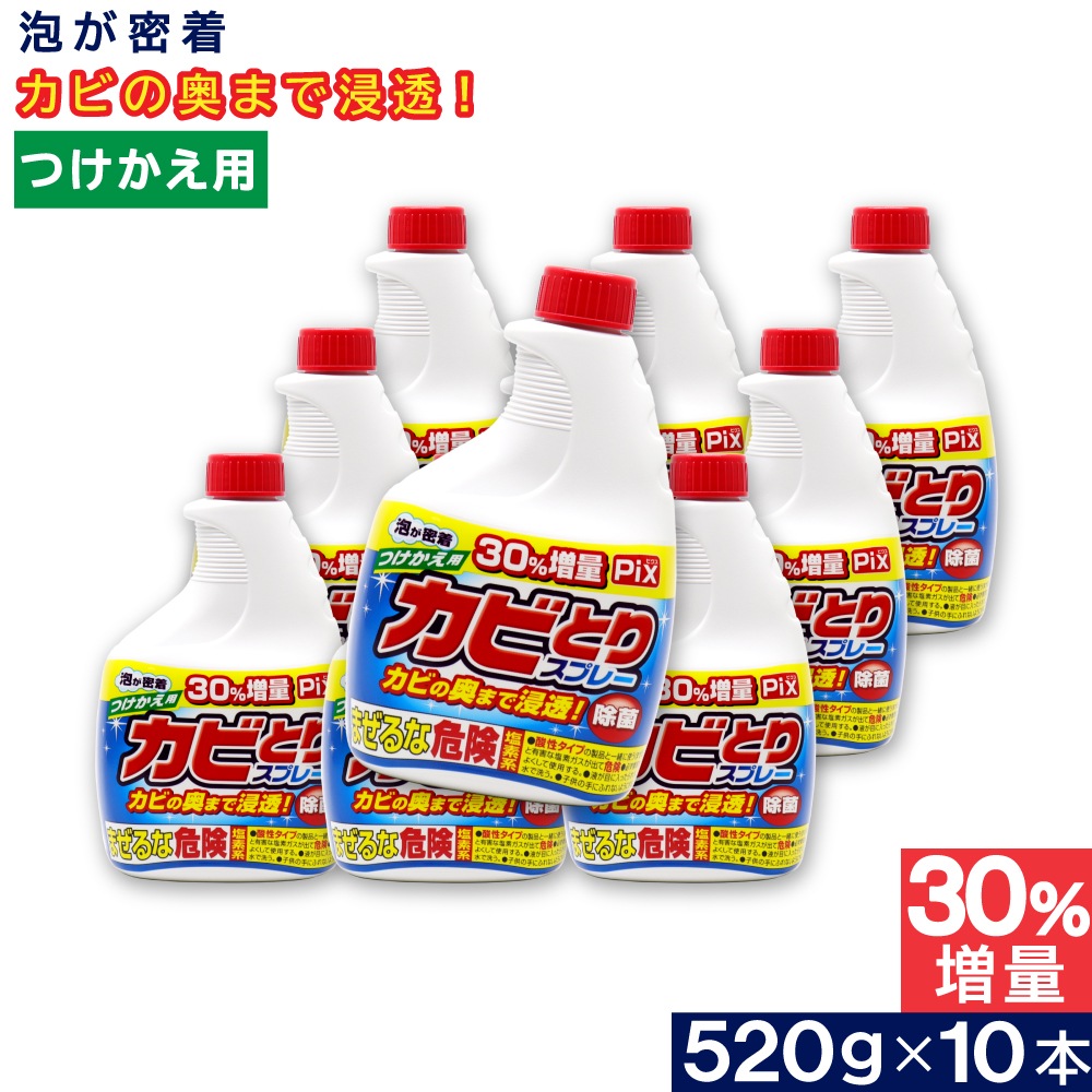 Pix ���ӤȤꥯ�꡼�ʡ� ˢ �Ĥ������� ������ 520g ��10�� ���Ƿ� �Ἴ ���ӱ��� ������