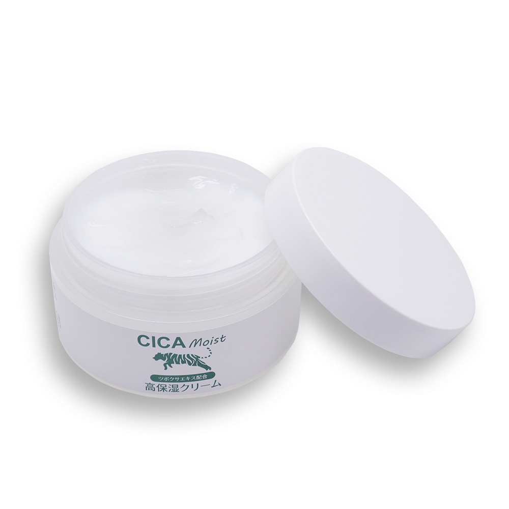 CICA Moist 高保湿クリーム 100g ×10個 モイスチャークリーム ツボクサ