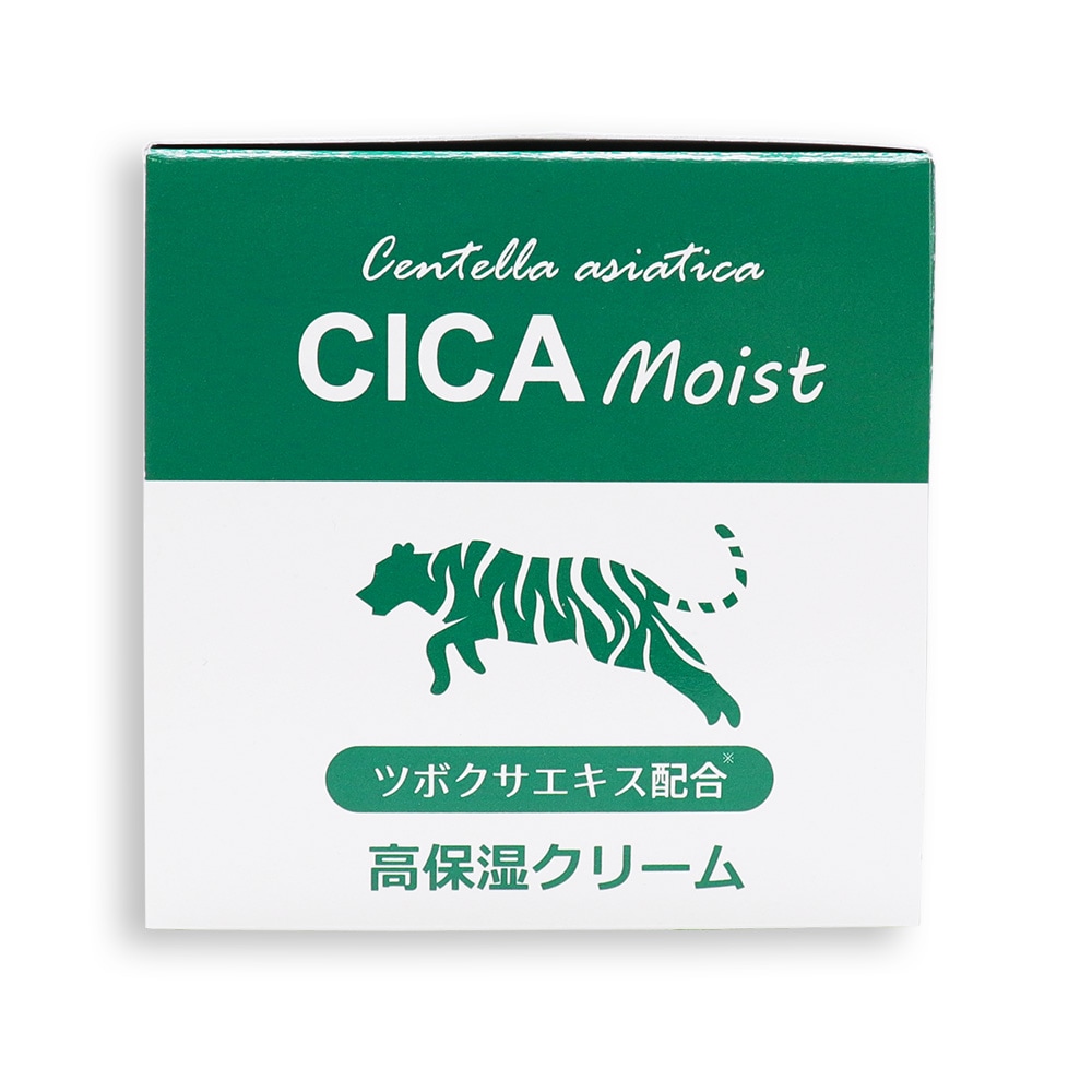 CICA Moist 高保湿クリーム 100g ×10個 モイスチャークリーム ツボクサ