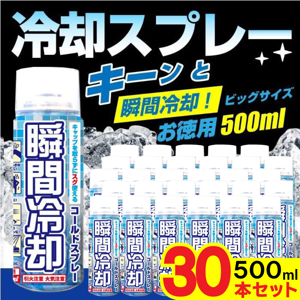 ��ѥ��ץ졼 ������ɥ��ץ졼 �ִ���� ��ѥ��å� ������ 500ml 30�ܥ��å� ������