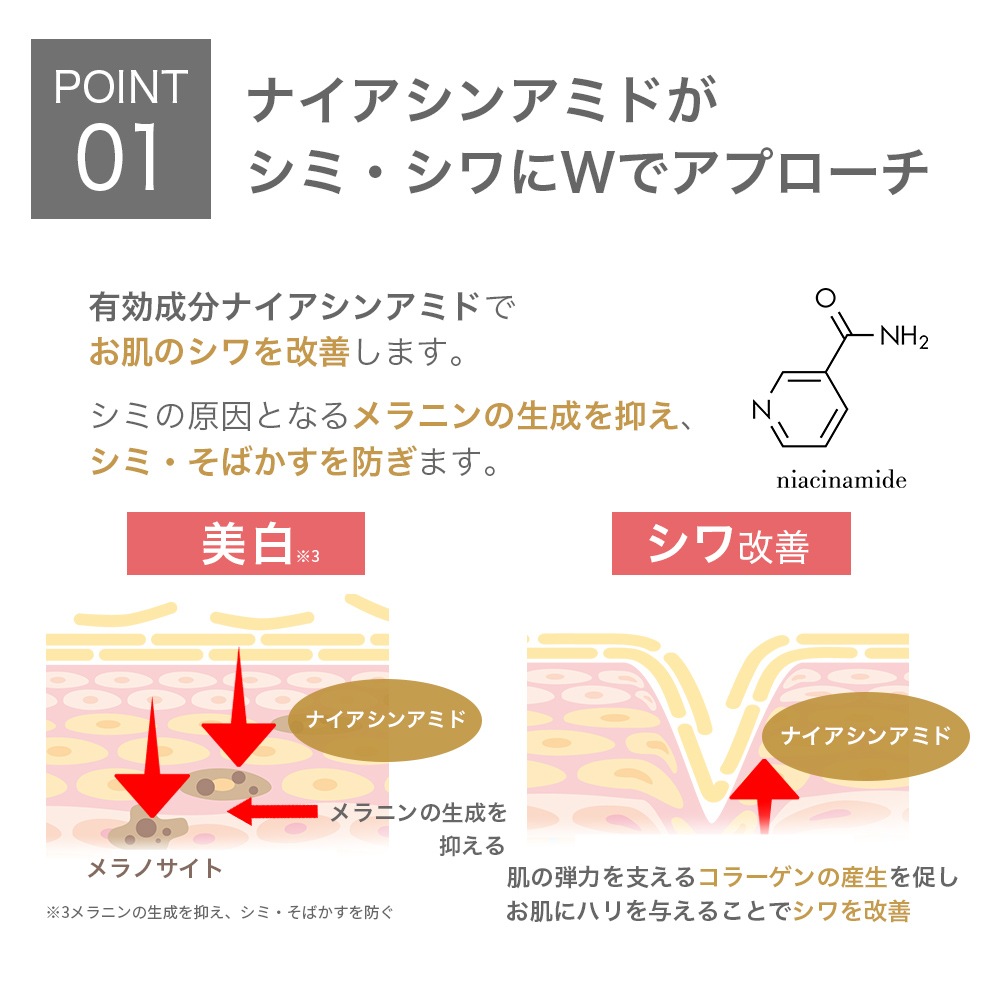  ѿ 200ml + 륤󥲥 200g å ʥ󥢥ߥ ۹  Ф TIAS 󥯥륭奢 󥰥  