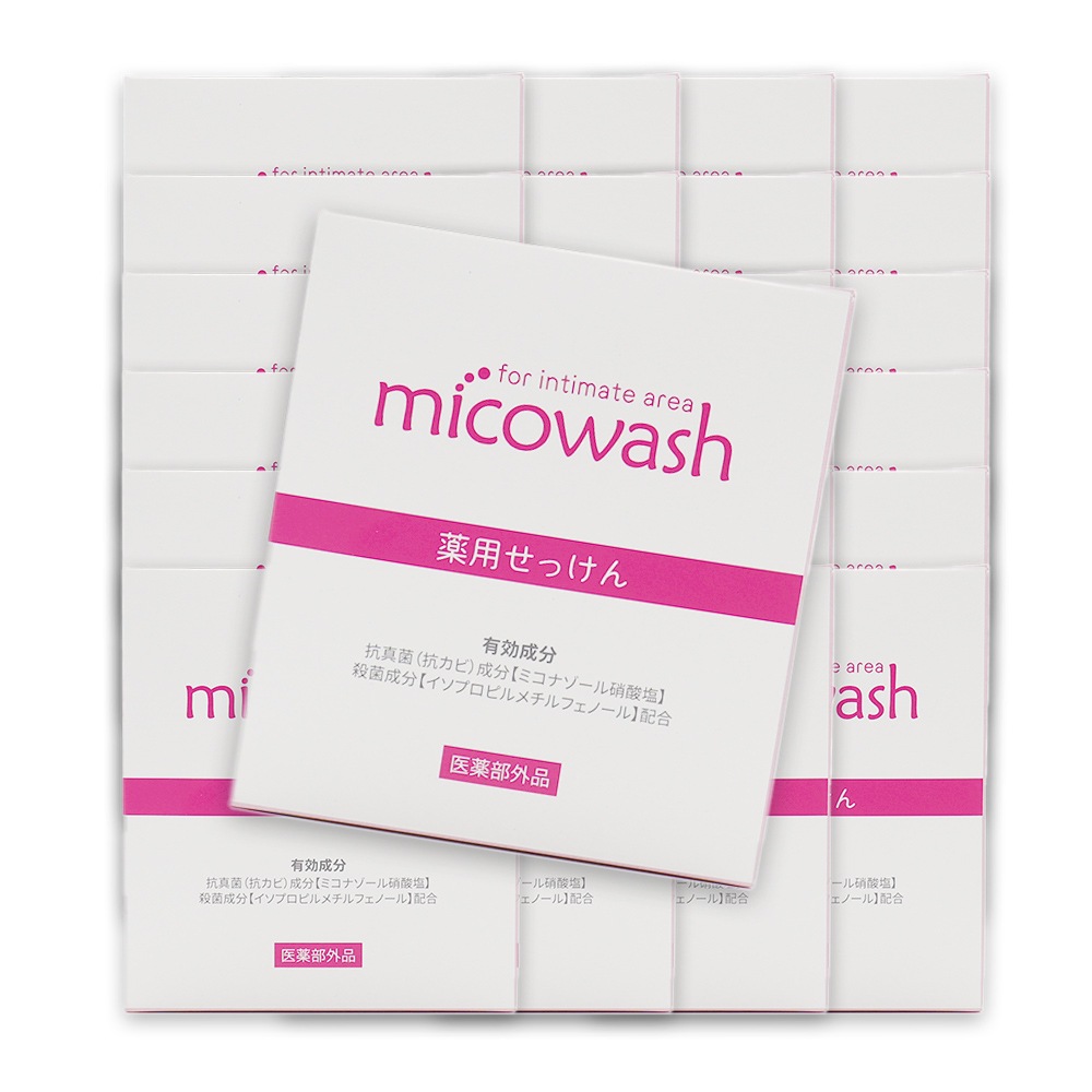 ǥꥱȥ  Ф  ߥå ߥʥ 100g 24ĥå