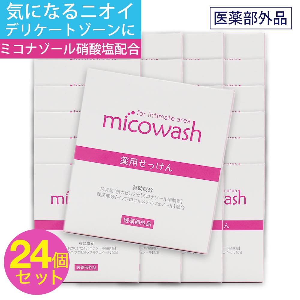 ǥꥱȥ  Ф  ߥå ߥʥ 100g 24ĥå