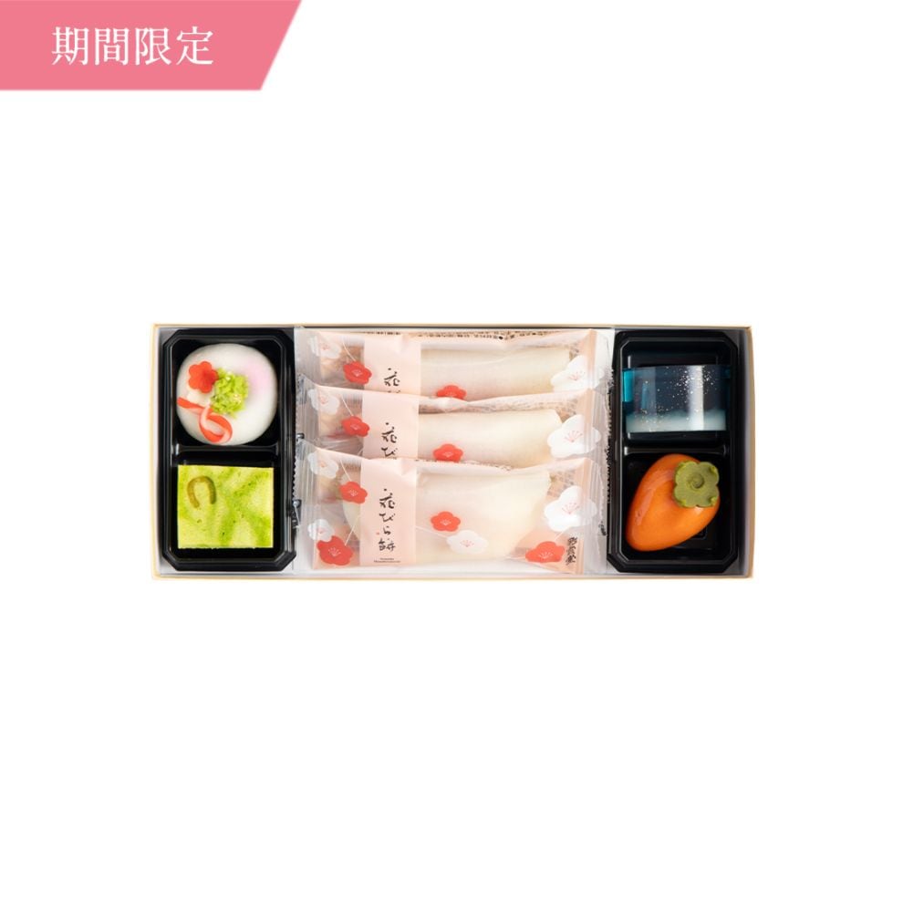 【超早割ポイント20倍】お年賀和菓子 詰合せ おとずれ [迎春菓2026]