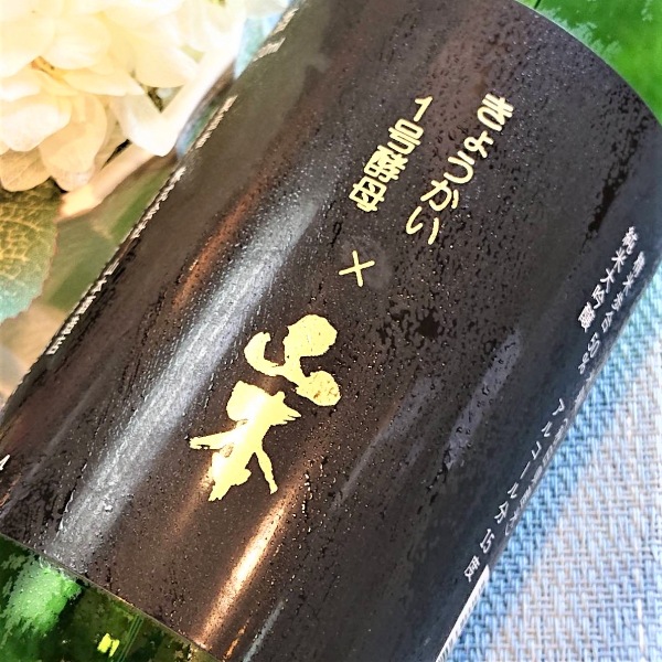 山本 (やまもと) 純米大吟醸 きょうかい1号酵母仕込み 720ml [限定酒