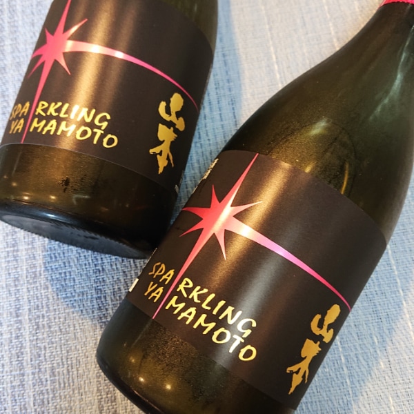 やまもと ZX-4R SLIP-ON UP カーボン | spec-A | ヤマモトレーシング