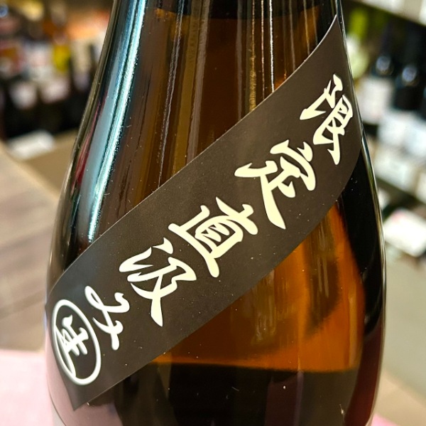 黒松　将来楽しみです 黒松 将来楽しみです