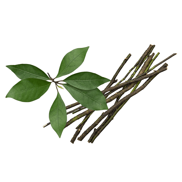 クロモジ焼酎 (くろもじしょうちゅう) HIKIMI 烏樟森香 25度 720ml