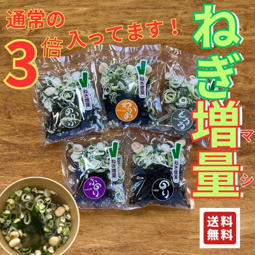 【ねぎ増量】MISO SOUP（パッケージレス）5食入／ポスト投函／送料無料