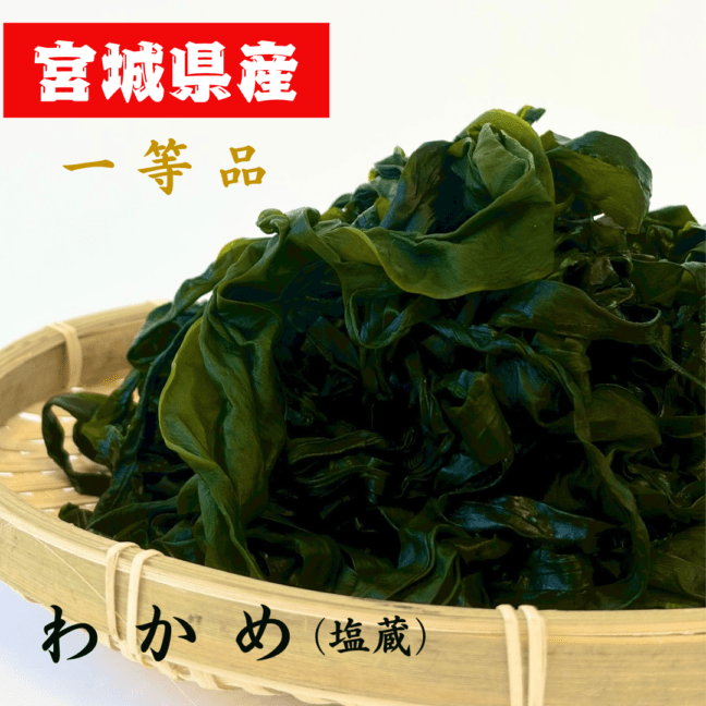 【2026年新物】宮城県産一等品わかめ(塩蔵)【数量限定】