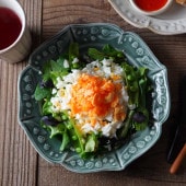 �׻Ҿơڥ������Τ��� / ���졼��SSDD���꡼��  ���� ���� �ץ졼�� �滮 �ݻ� ���襤�� ������� ������� �ʥ����� �狼����ƫ�� ���ȥ��ե�