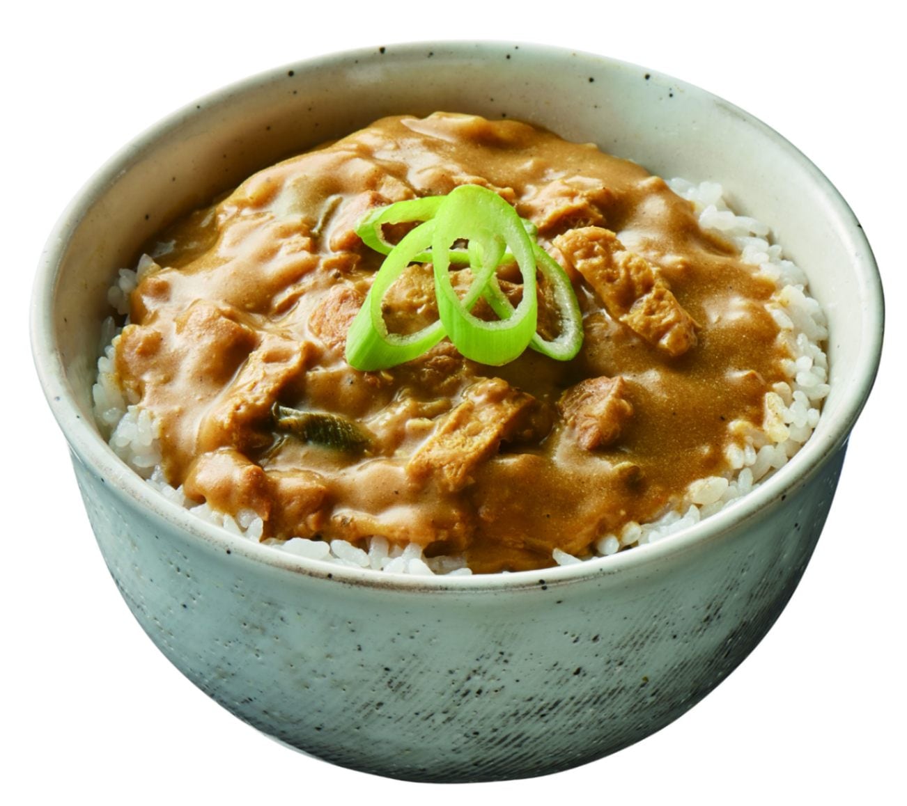 若鯱家　丼ぶり　記念品 名古屋丼 若鯱家カレー丼（5個入り） | コラボレーション商品 | ＜公式