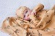 Blanket【全9種類】
