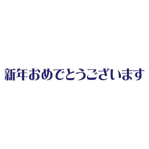 年賀状すたんぷ　ごあいさつ（長）　新年おめでとう (11042-010)　こどものかお　Stamp for New Years greeting card　※在庫限り|はんこ・スタンプ|和柄ステーショ
