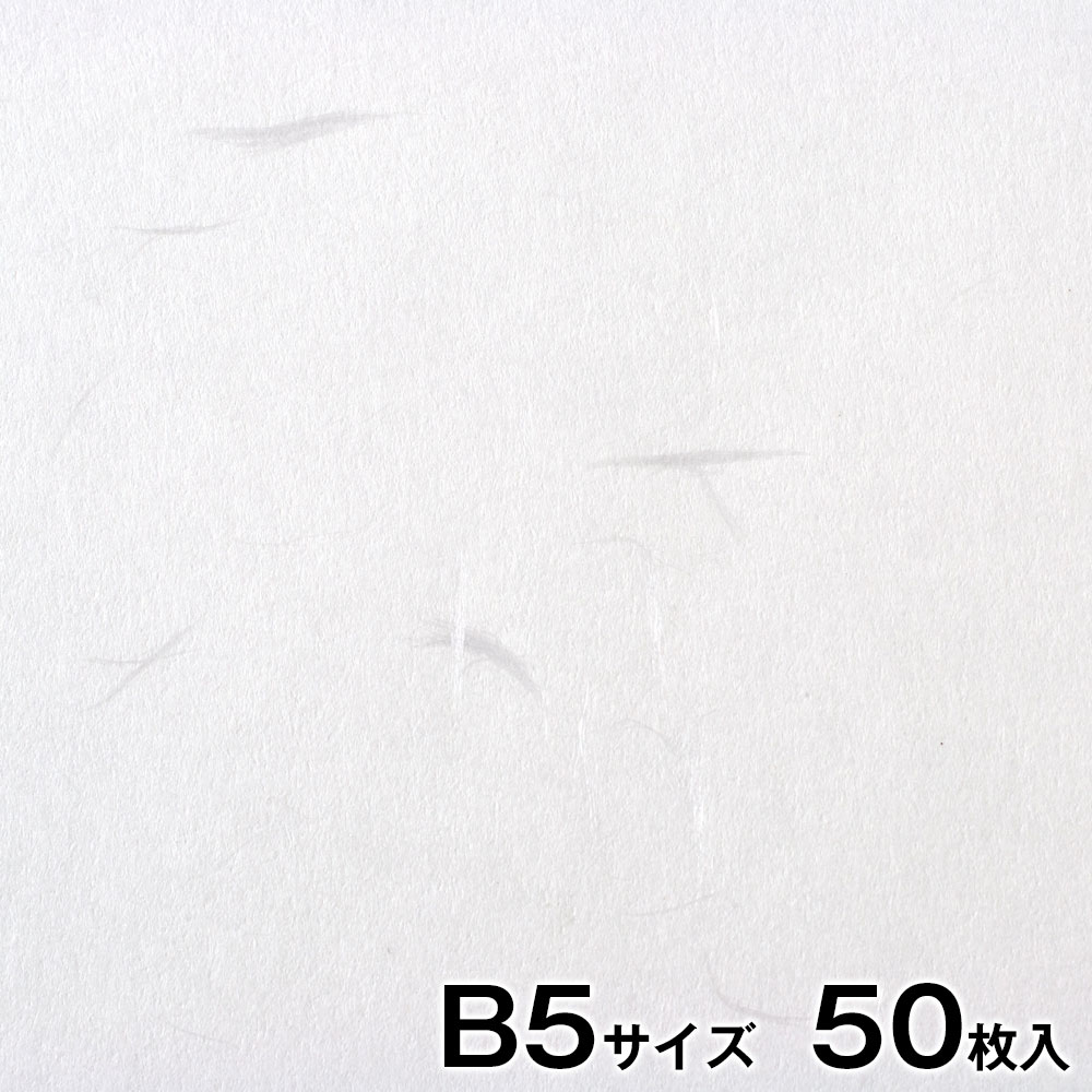 プリンター和紙　大直　大礼紙　白　B5サイズ50枚入　インクジェット・レーザー対応