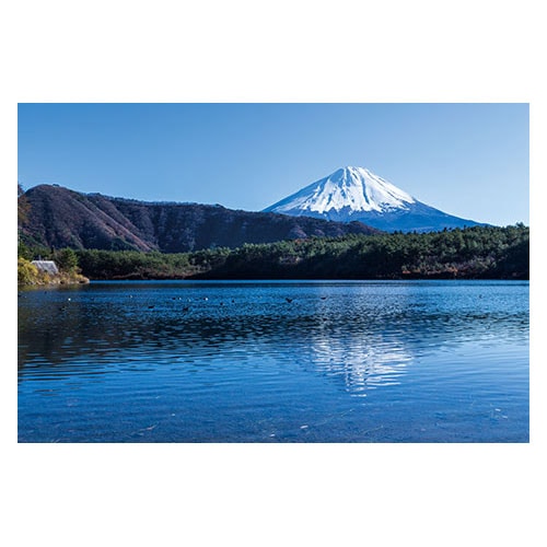 富士山ポストカード　西湖から富士山を望む (YN-004)　当店オリジナル写真絵はがき