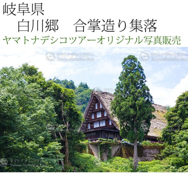 日本紀行　岐阜県　白川郷　合掌造り集落 (nk18-160716-12)　当店オリジナル写真販売　Photo frame  Shirakawago