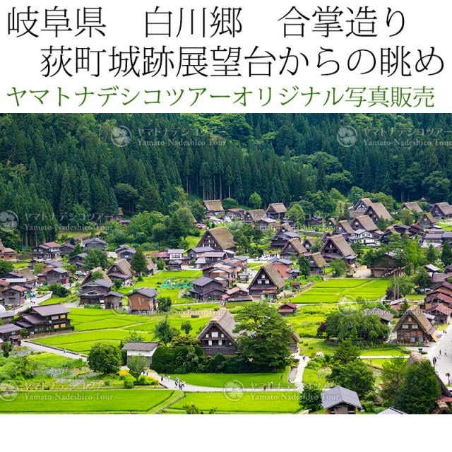 日本紀行　岐阜県　白川郷　合掌造り集落　荻町城跡展望台からの眺め (nk18-160716-95)　当店オリジナル写真販売　Photo frame  Shirakawago