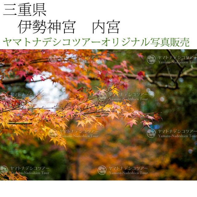 日本紀行　三重県　伊勢神宮　内宮 (nk21-4075)　当店オリジナル写真販売　Photo frame  Ise jingu Naigu
