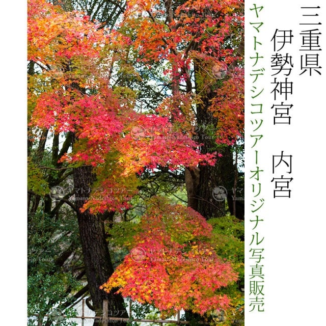 日本紀行　三重県　伊勢神宮　内宮 (nk21-4106)　当店オリジナル写真販売　Photo frame  Ise jingu Naigu