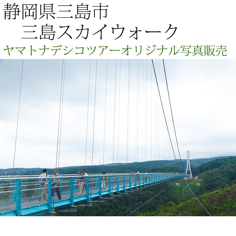 日本紀行　静岡県三島市　三島スカイウォーク (nk19-170810-118)　当店オリジナル写真販売　Original photograph  Mishima Skywalk