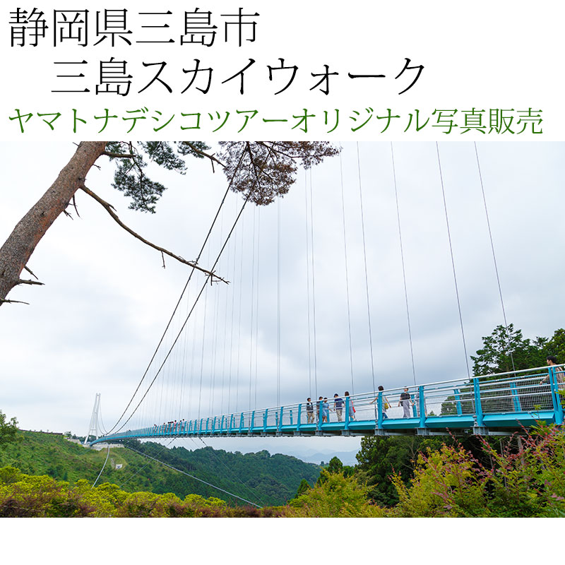 日本紀行　静岡県三島市　三島スカイウォーク (nk19-170810-79)　当店オリジナル写真販売　Original photograph  Mishima Skywalk