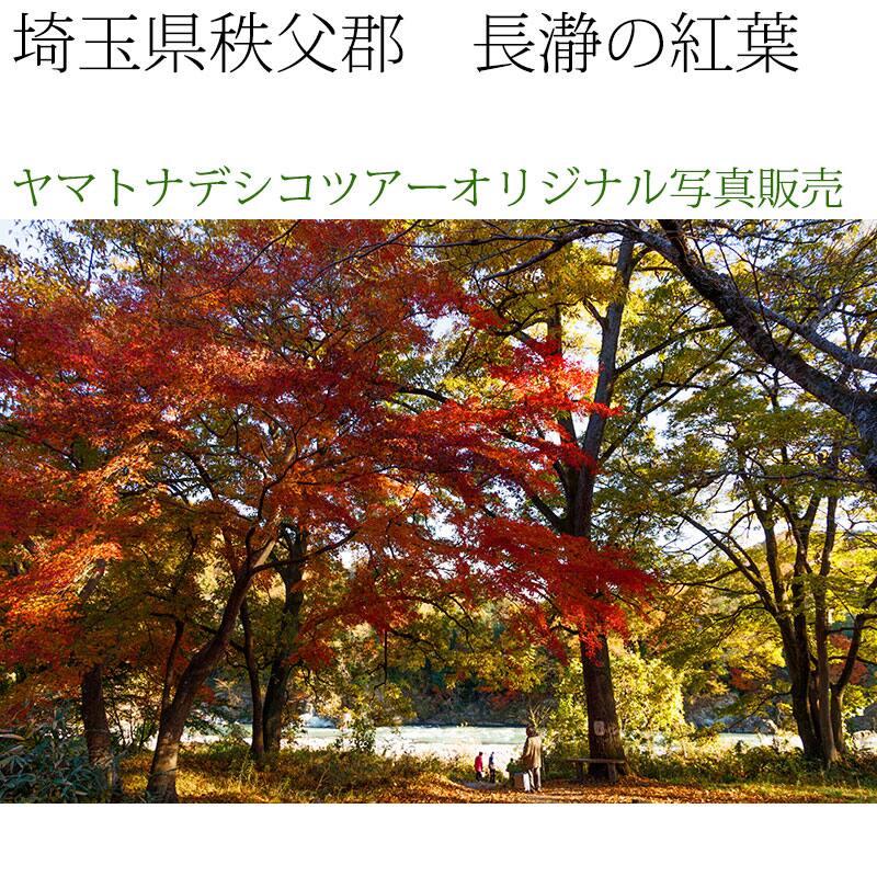 日本紀行　埼玉県秩父郡　長瀞の紅葉 (nk11-171116-31)　当店オリジナル写真販売　Original photograph  Autumn leaves of Nagatoro