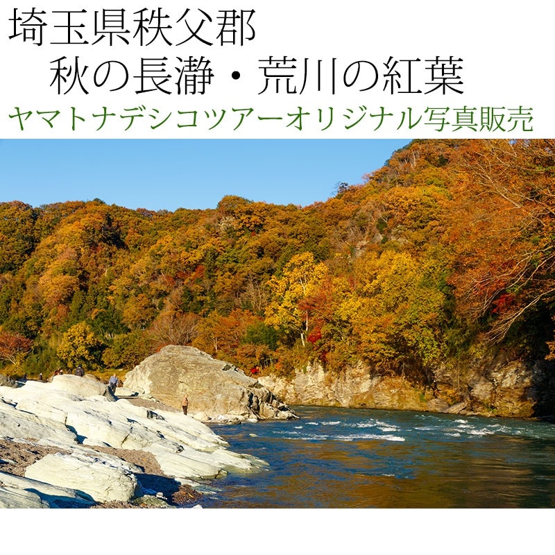 日本紀行　埼玉県秩父郡　秋の長瀞・荒川の紅葉 (nk11-171116-131)　当店オリジナル写真販売　Original photograph  Autumn leaves of Nagatoro