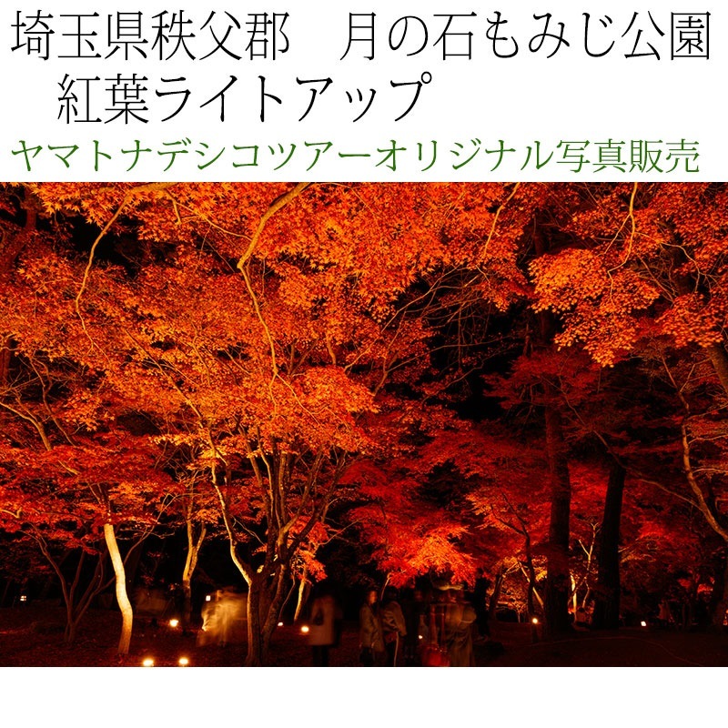 日本紀行　埼玉県秩父郡　長瀞・月の石もみじ公園　紅葉ライトアップ (nk11-171116-208)　当店オリジナル写真販売　Original photograph  Tsukinoishi Momoji Park