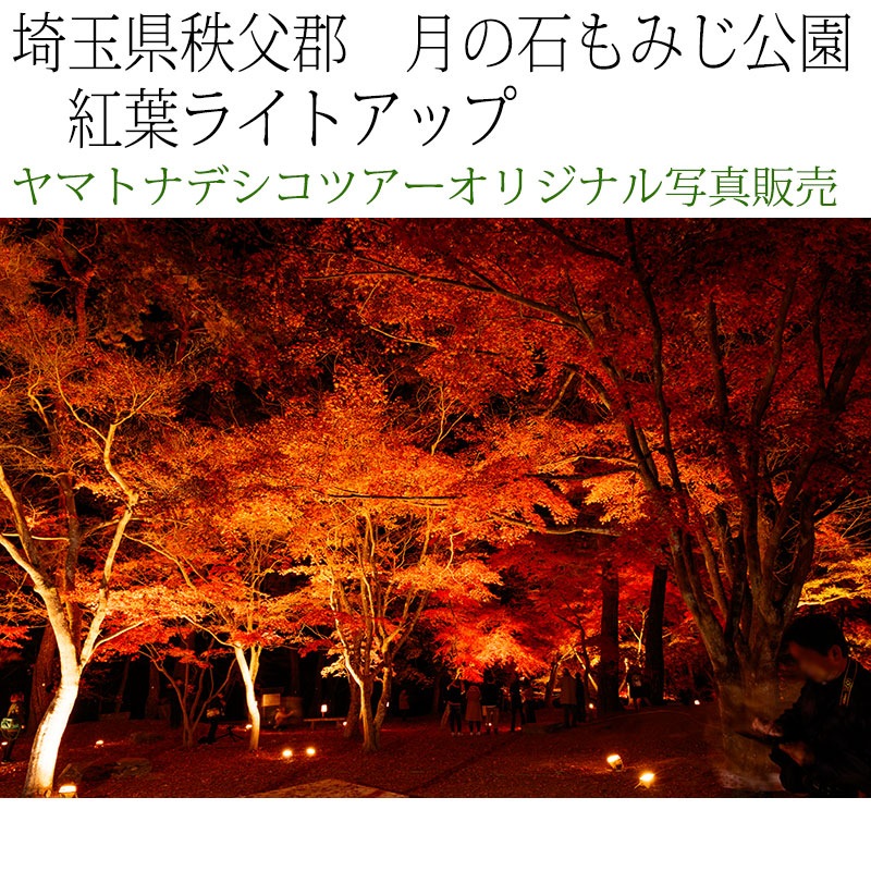 日本紀行　埼玉県秩父郡　長瀞・月の石もみじ公園　紅葉ライトアップ (nk11-171116-213)　当店オリジナル写真販売　Original photograph  Tsukinoishi Momoji Park