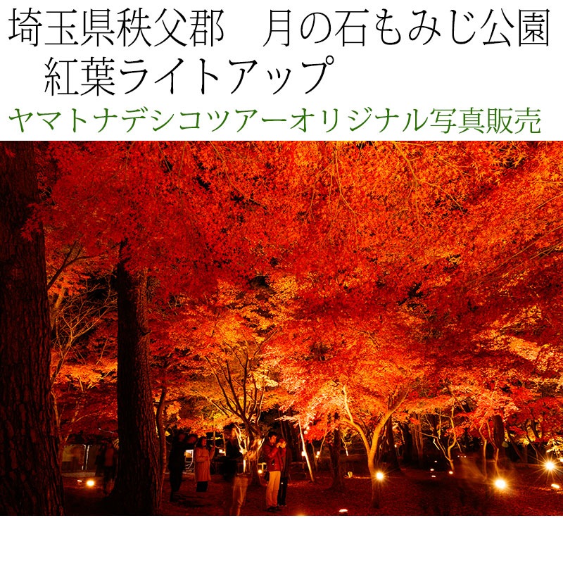 日本紀行　埼玉県秩父郡　長瀞・月の石もみじ公園　紅葉ライトアップ (nk11-171116-217)　当店オリジナル写真販売　Original photograph  Tsukinoishi Momoji Park