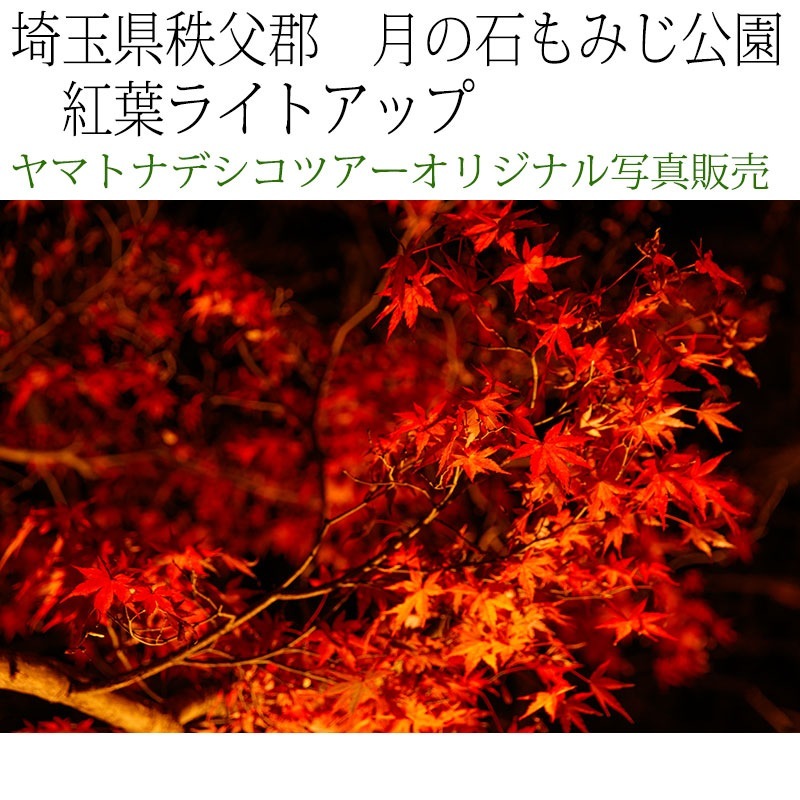 日本紀行　埼玉県秩父郡　長瀞・月の石もみじ公園　紅葉ライトアップ (nk11-171116-221)　当店オリジナル写真販売　Original photograph  Tsukinoishi Momoji Park