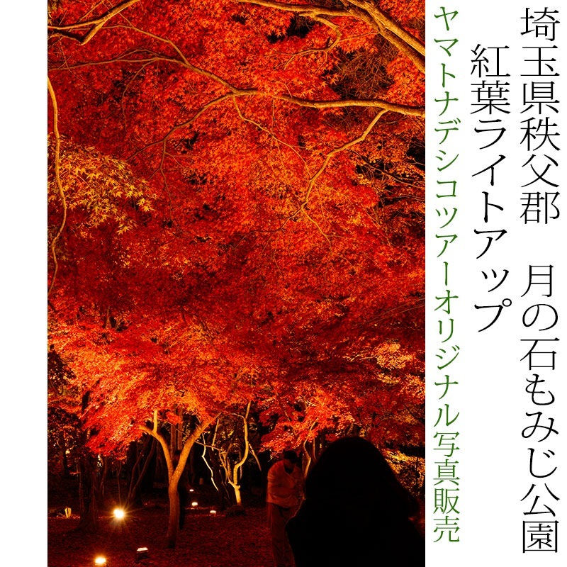 日本紀行　埼玉県秩父郡　長瀞・月の石もみじ公園　紅葉ライトアップ (nk11-171116-225)　当店オリジナル写真販売　Original photograph  Tsukinoishi Momoji Park