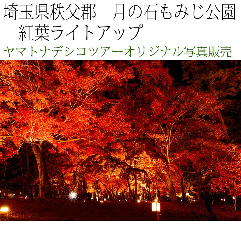 日本紀行　埼玉県秩父郡　長瀞・月の石もみじ公園　紅葉ライトアップ (nk11-171116-235)　当店オリジナル写真販売　Original photograph  Tsukinoishi Momoji Park