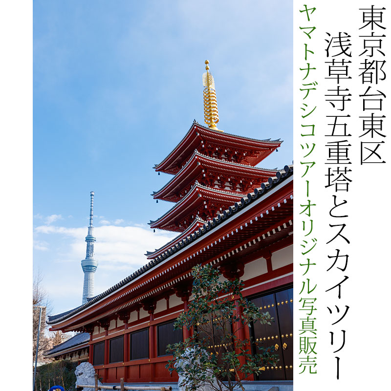 日本紀行 東京都台東区 浅草寺五重塔とスカイツリー (nk13-180130-144