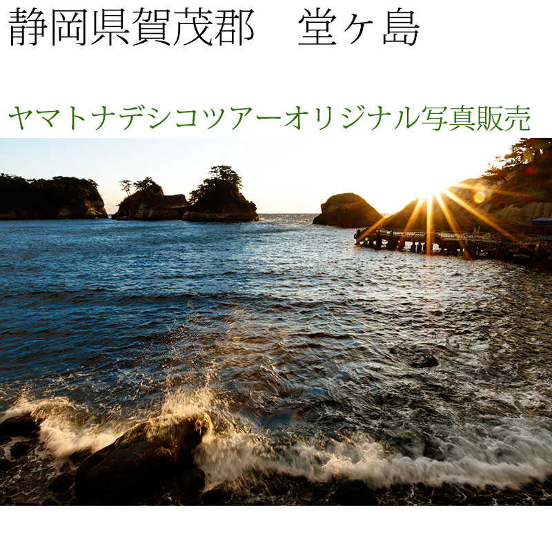 日本紀行　静岡県賀茂郡　堂ヶ島 (nk19-180208-232)　当店オリジナル写真販売　Original photograph  Atami cherry tree