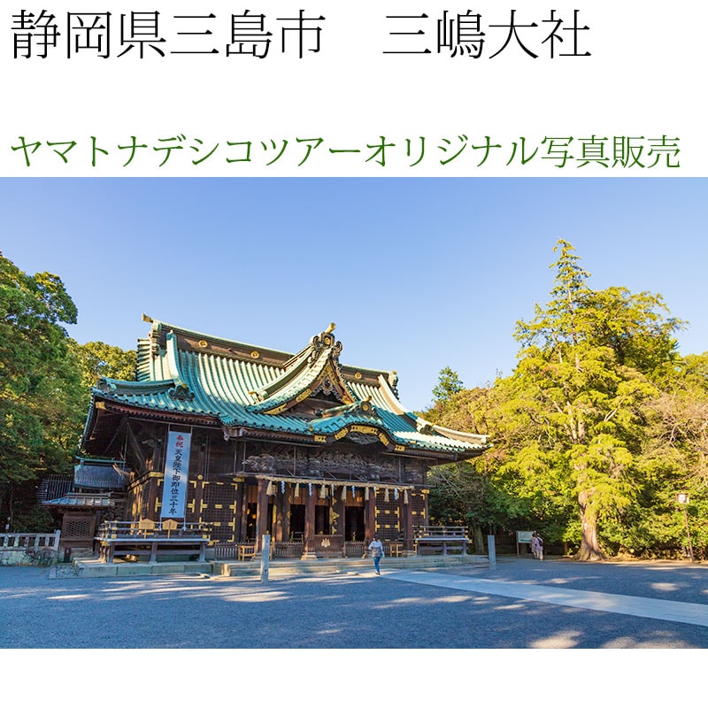 日本紀行　静岡県三島市　三嶋大社 (nk19-180928-113)　当店オリジナル写真販売　Original photograph  Mishima-taisha Shrine