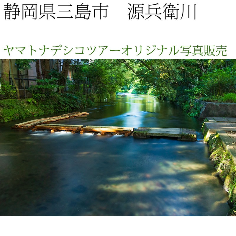 日本紀行　静岡県三島市　源兵衛川 (nk19-180928-128)　当店オリジナル写真販売　Original photograph  Genbe River